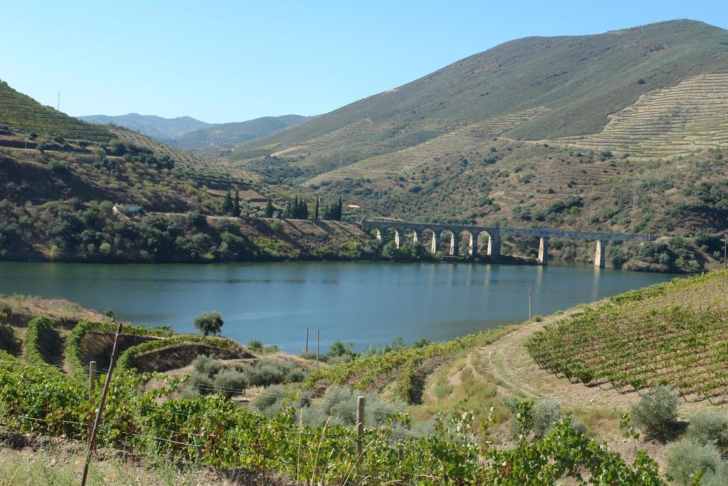 Lagares Douro Villas Pinhal do Douro Exterior foto